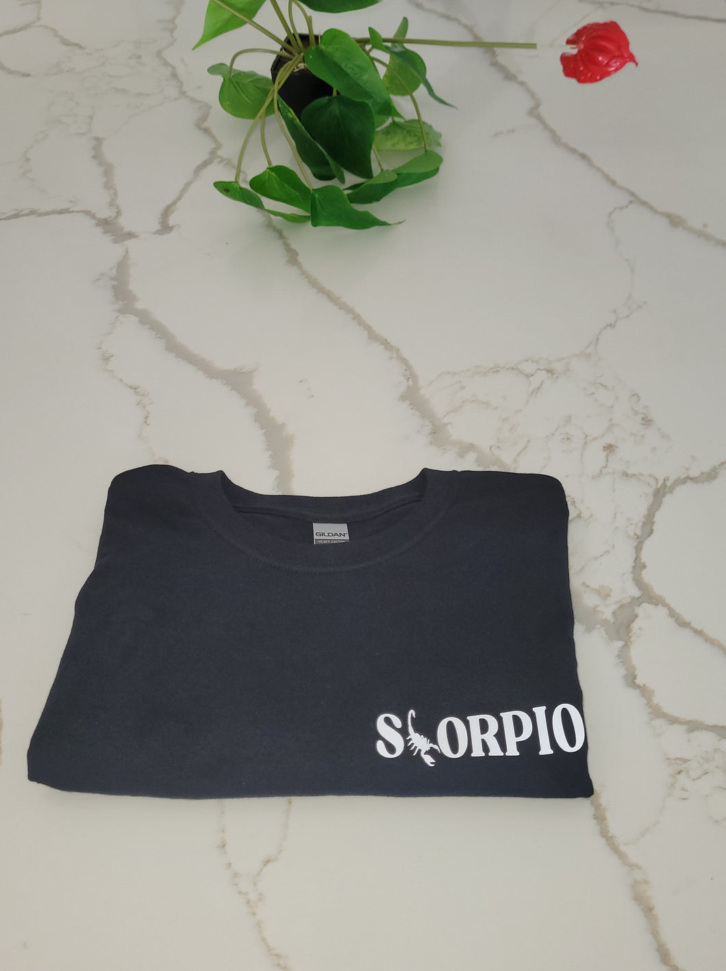 Scorpio Zodiac Tee Front