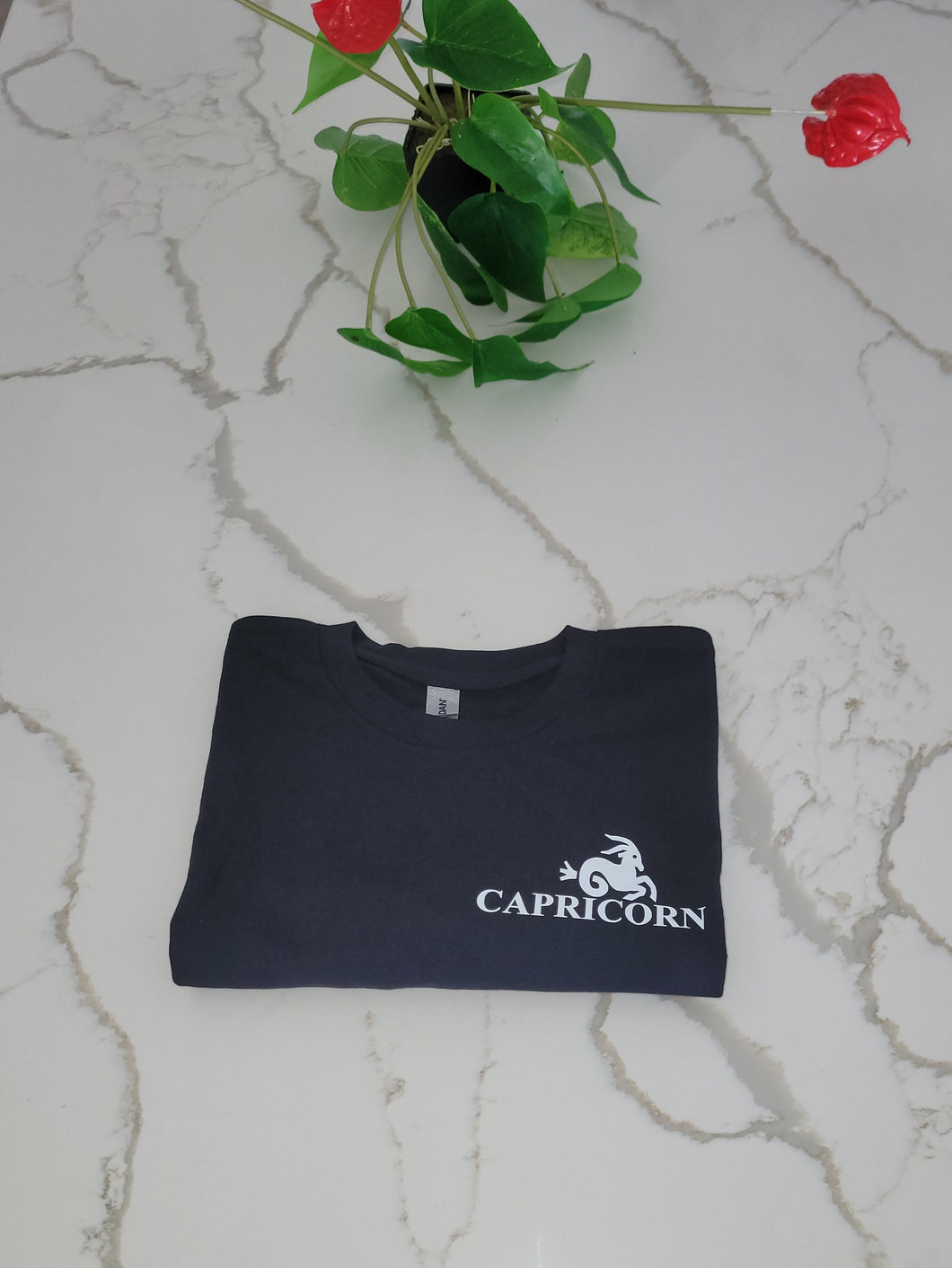Capricorn Zodiac Tee Front
